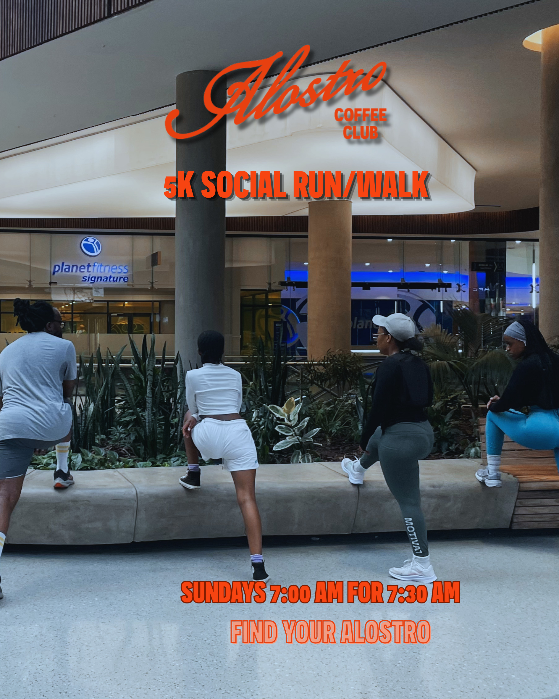 The Social Run and Walk Diaries